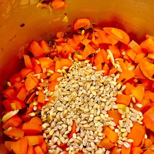 VEGAN CARROT SALAD WITH SUNFLOWER SEEDS & SOUP